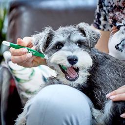 Vets Best Triple Headed Toothbrush Hundens Tandborste Med 3 Huvuden